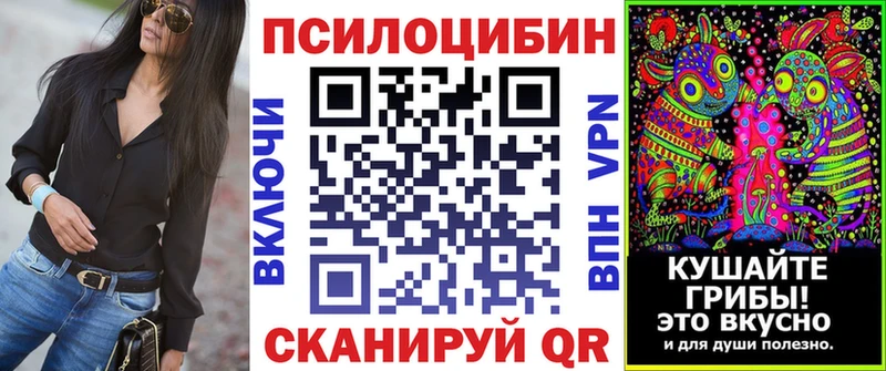 блэк спрут зеркало Щигры Галлюциногенные грибы ЛСД
